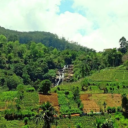 Marvellous Inn Ella Bagian luar foto