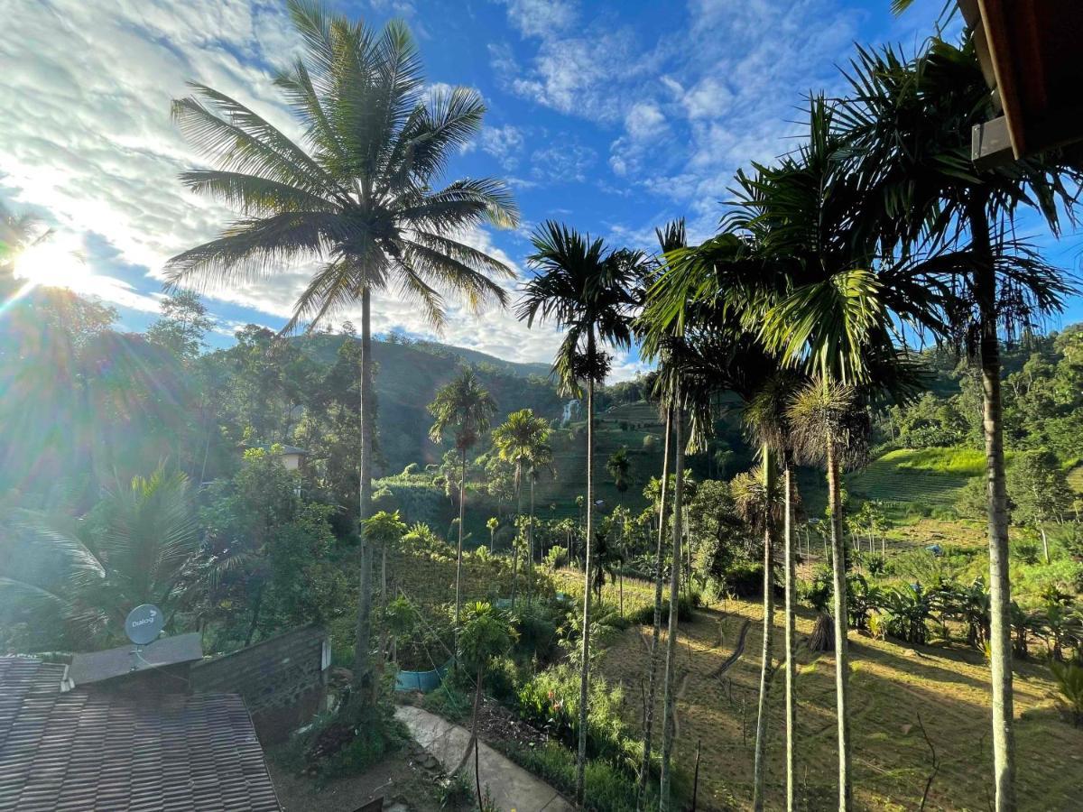 Marvellous Inn Ella Bagian luar foto