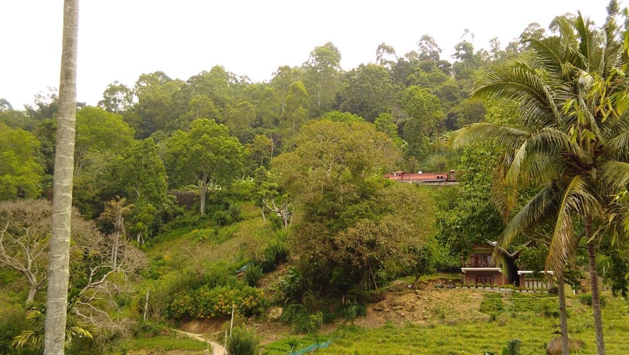 Marvellous Inn Ella Bagian luar foto