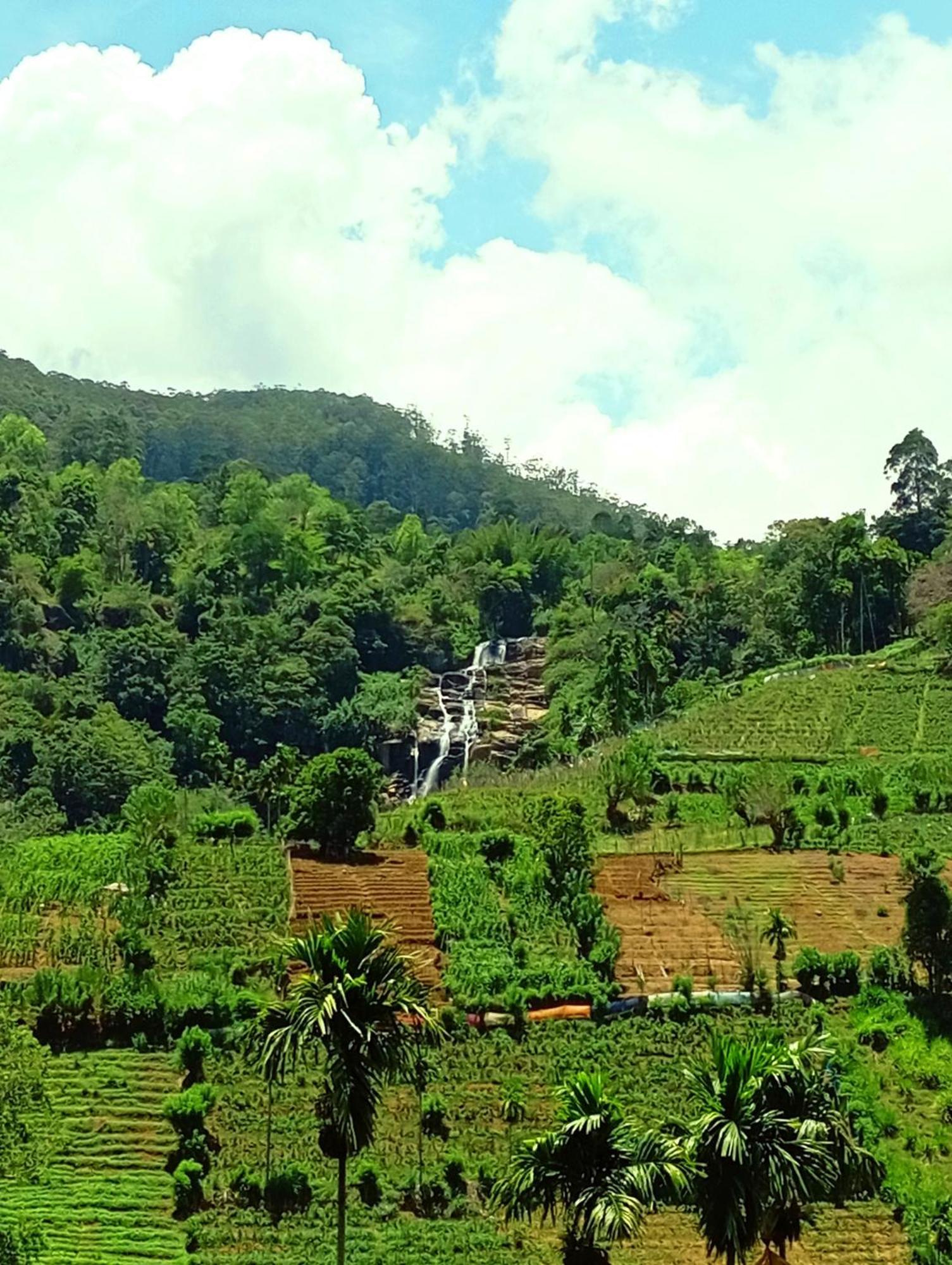 Marvellous Inn Ella Bagian luar foto