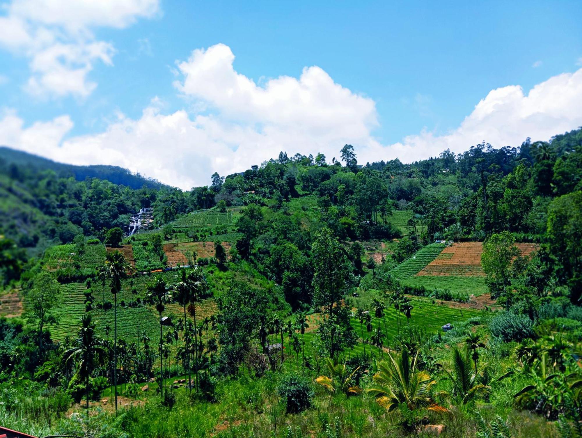 Marvellous Inn Ella Bagian luar foto
